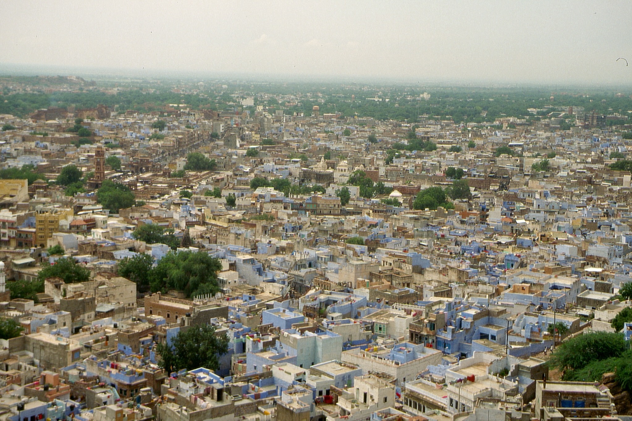 Jodhpur