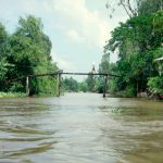 Mekong Delta