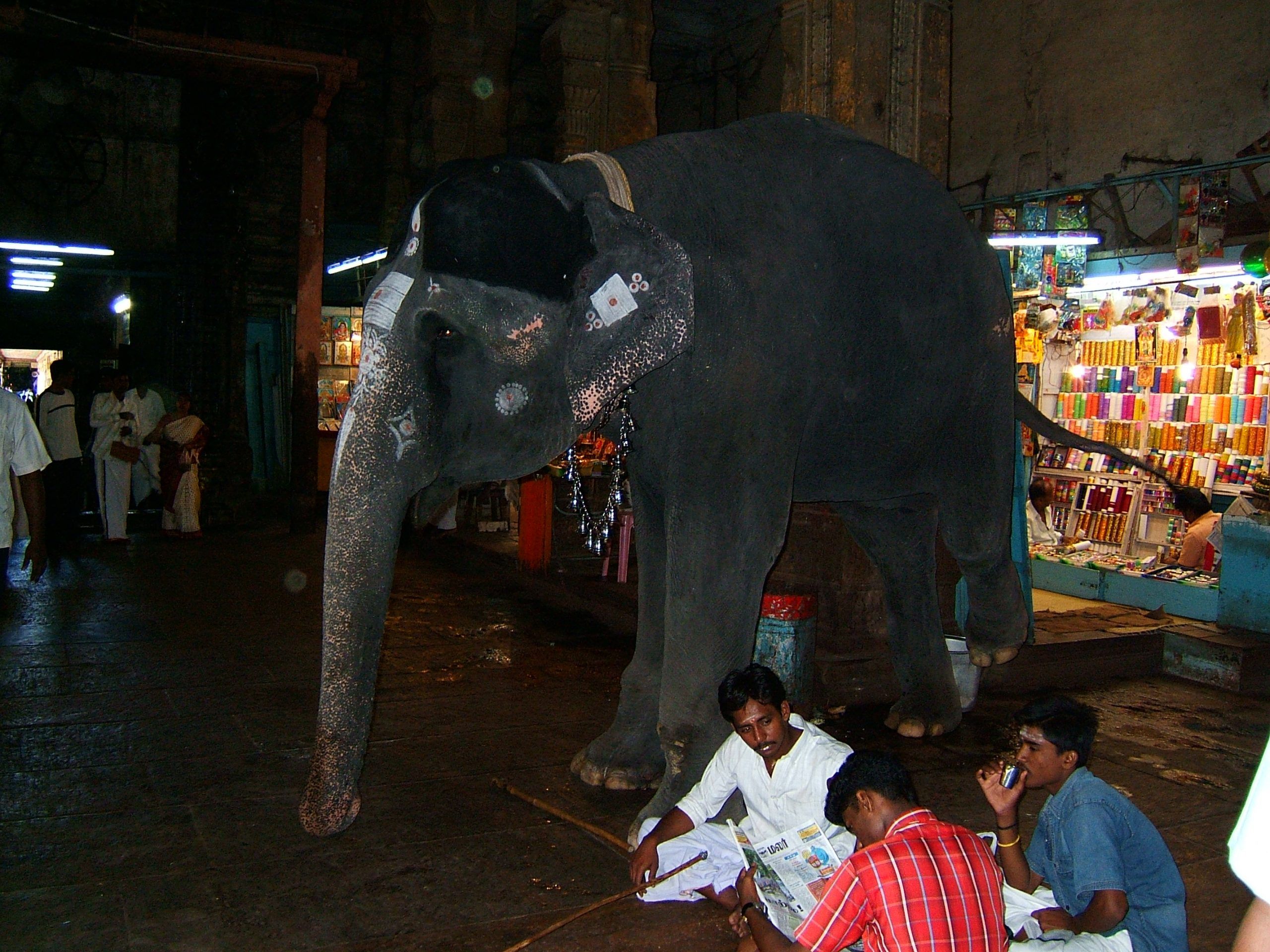 Madurai