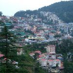 Shimla