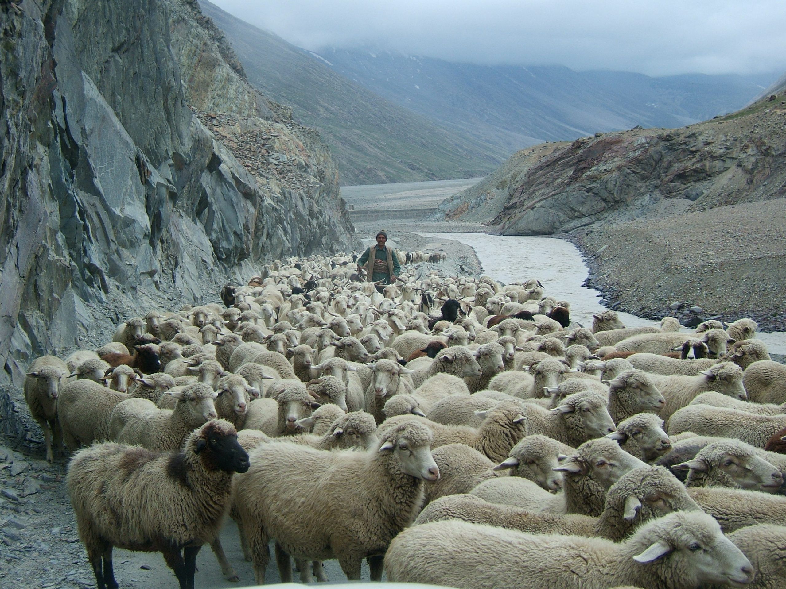 unterwegs nach Manali