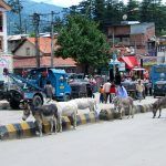 Manali