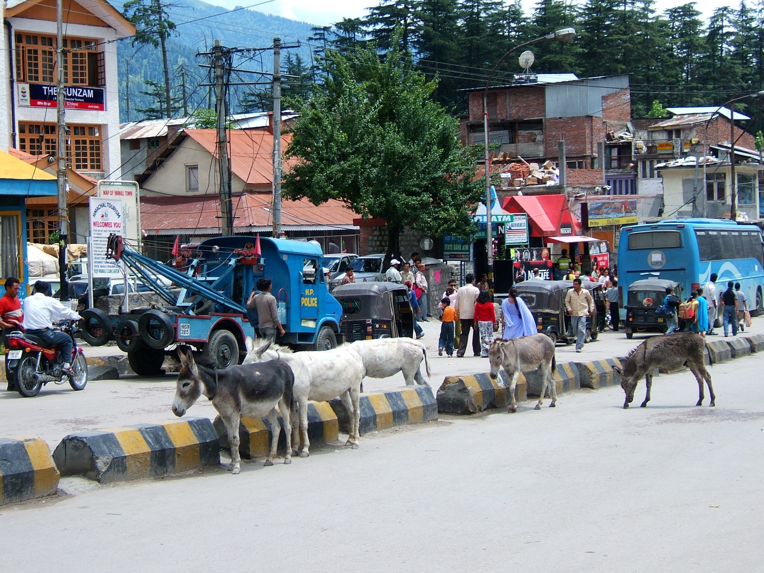 Manali