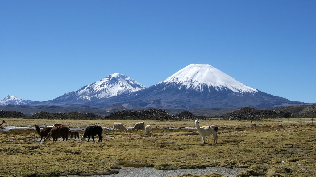 Lauca Nationalpark