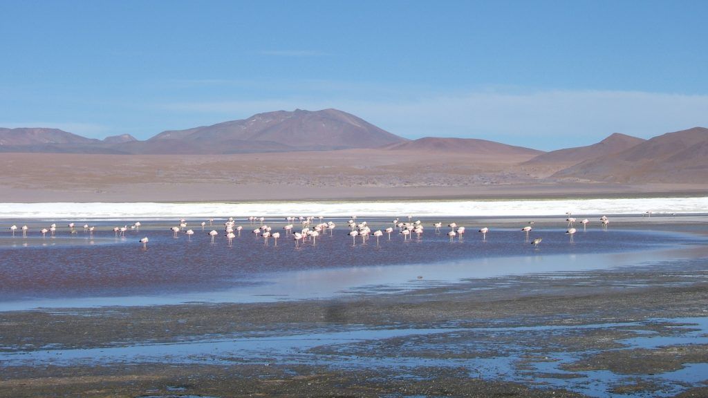 Laguna Colorada