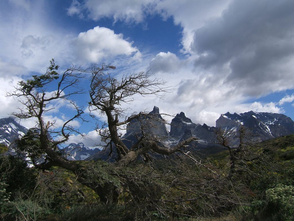 Torres del Paine