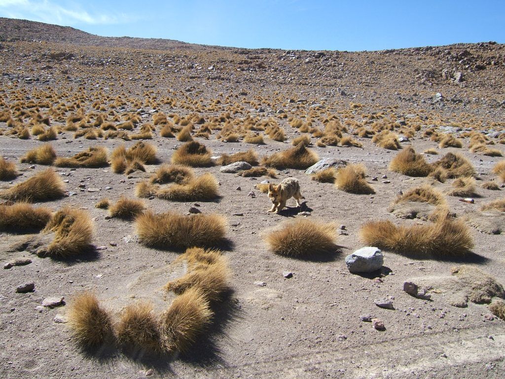 Fahrt nach Uyuni
