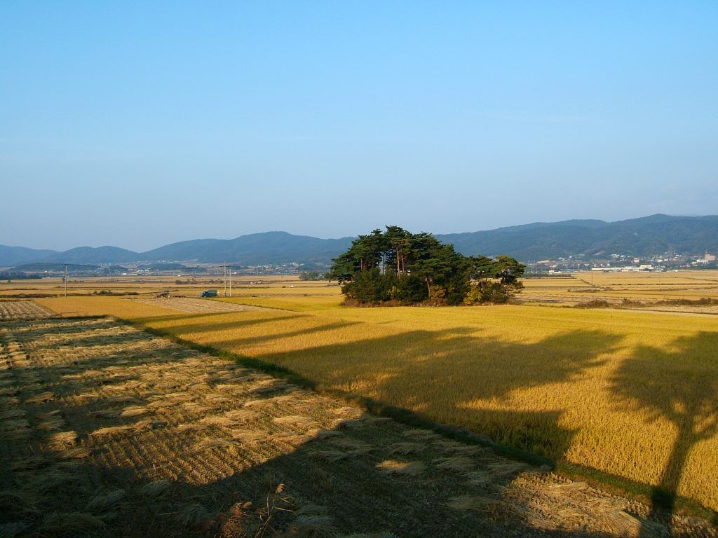 Gyeongju