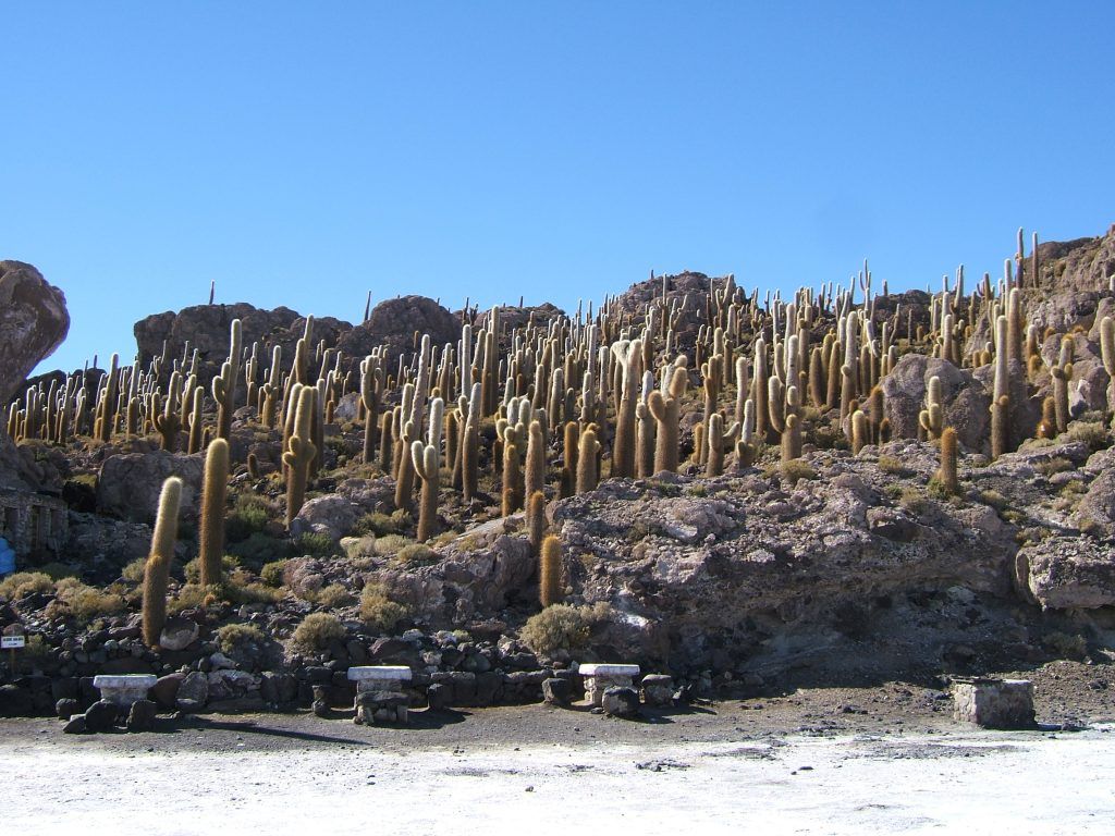 Salar de Uyuni