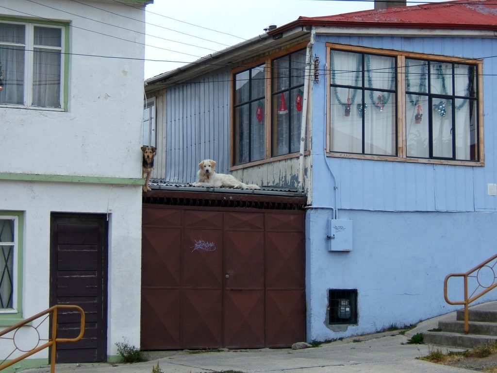 Punta Arenas