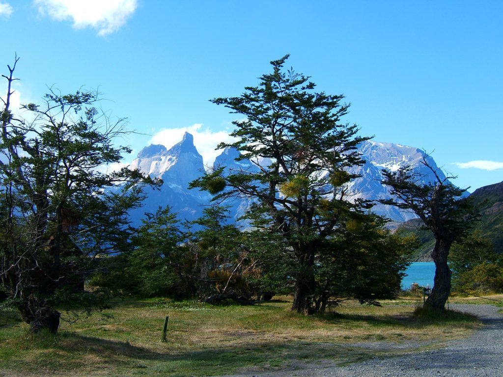 Torres del Paine