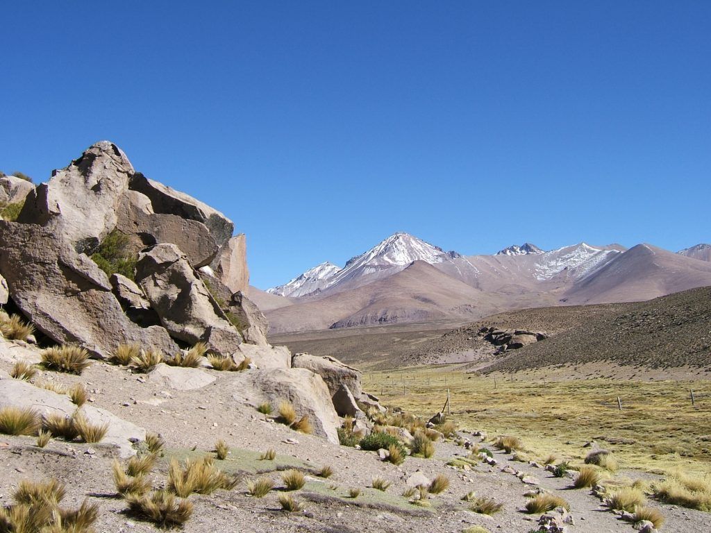 Lauca Nationalpark