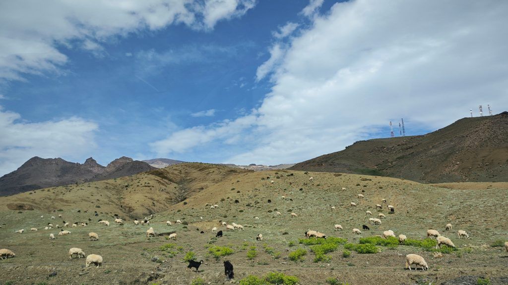 Fahrt nach Ait Ben Haddou