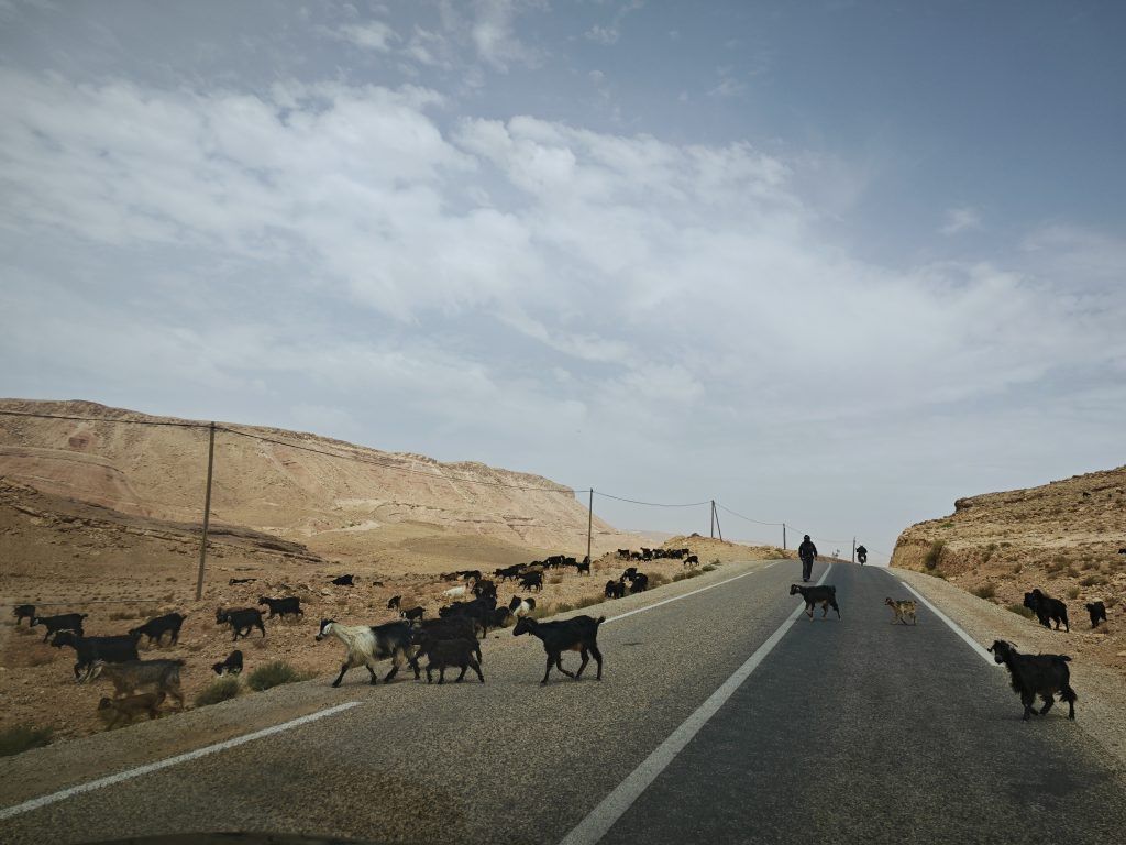 Fahrt nach Ait Ben Haddou