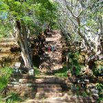 Wat Phou