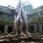 Angkor