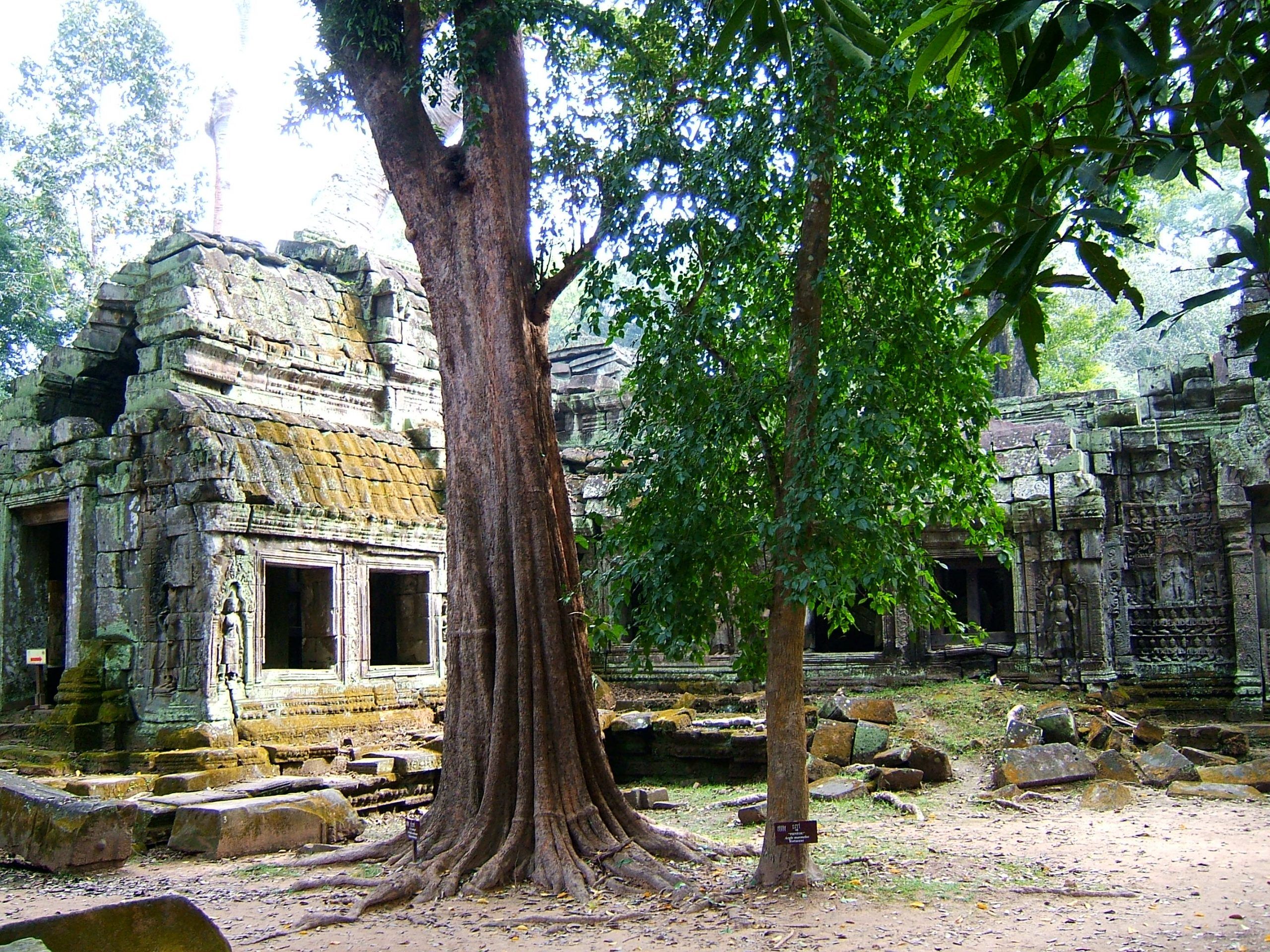 Angkor
