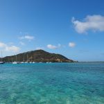 Grenadines