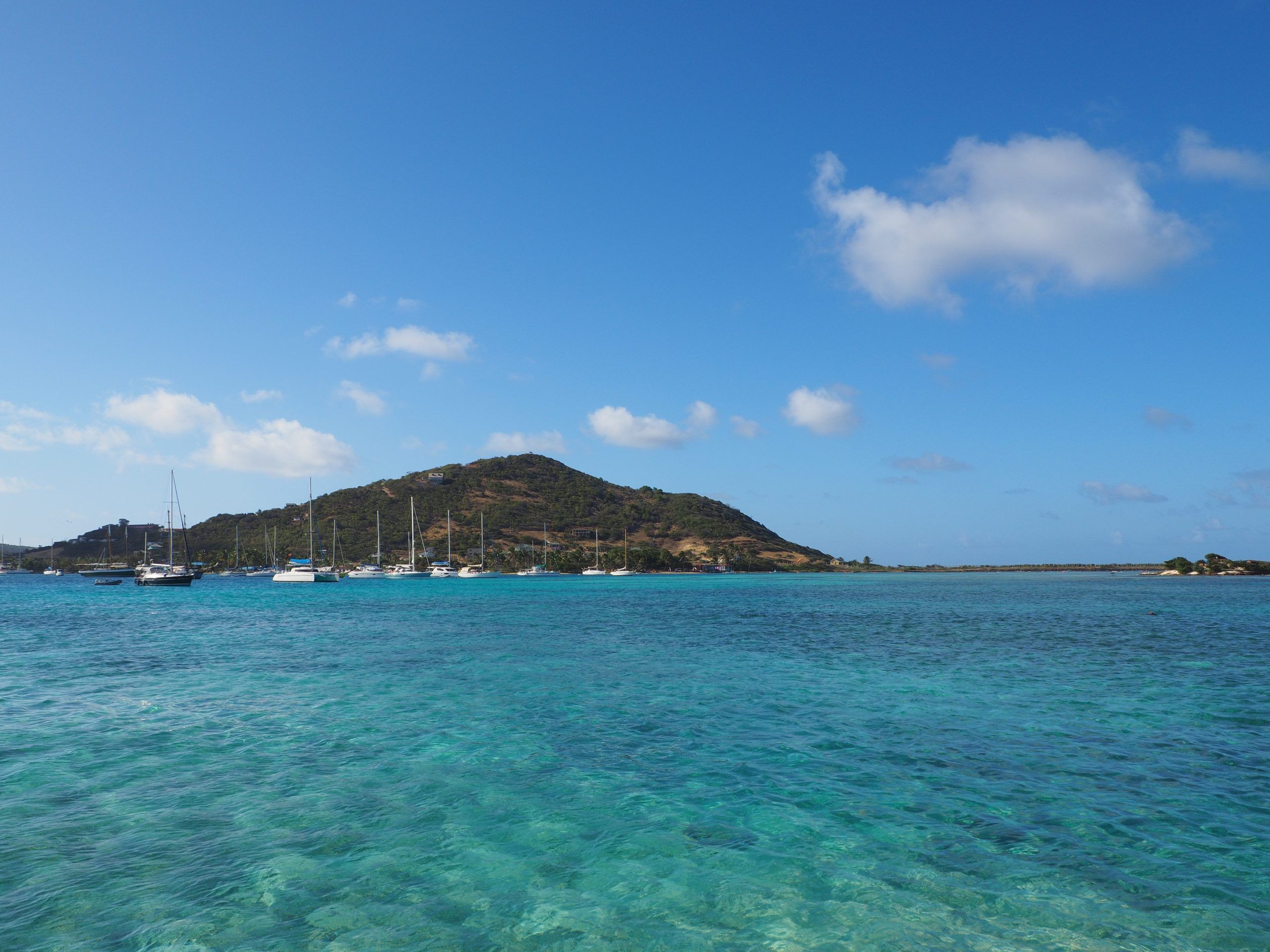 Grenadines